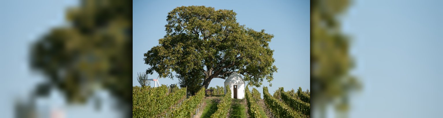 Flörsheim Dalsheim-14.jpg