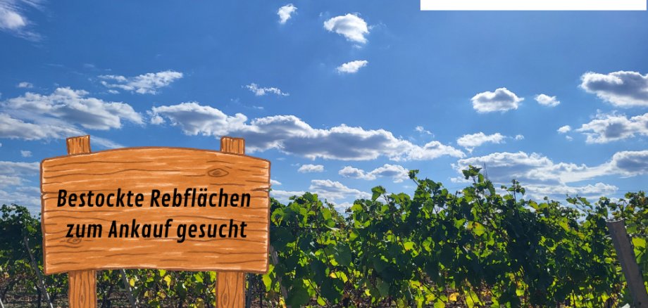 Titelbild - 1 Titelbild - 1