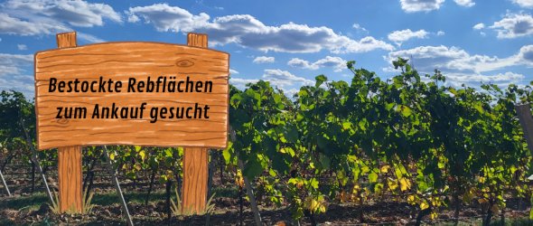 Titelbild - 1