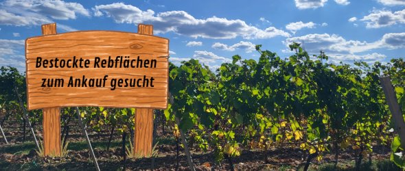 Titelbild - 1