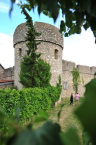 Blick auf den Nordwestturm der Fleckenmauer Fleckenmauer_Paar 35.jpg