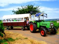 Planwagen Seibel.JPG