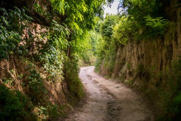 Hohlwegeparadies Alsheim Hohlwegeparadies Alsheim