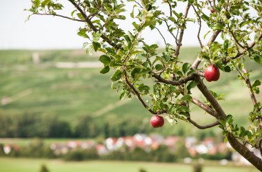 Zellertal im Herbst